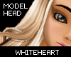[WH] Model Head