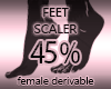 Foot Sizer 45%