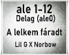 A lelkem faradt