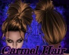 Carmel Hair Up Twist