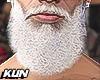 Santa beard