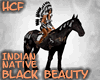HCF Native Black Beauty 