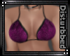 ! HaliburyBralette Fusci