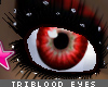 [V4NY] TriBlood Eyes