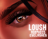  . Loush Lashes 10