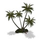 {LS} Tikki Palm