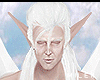 Elven Angel [cosplay].