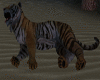 My New Snuggle Bud Tiger