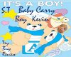 S.T~BABY BOY KEVIN CARRY