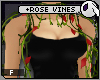 ~DC) +Rose Vines