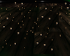 Gold Floor Particles