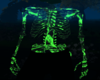 Green Skeleton Body [M]