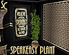 SC Speakeasy Club Plant