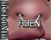 Aden Silver Septum