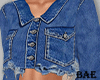 Cropped Jean Jacket