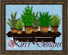 {R} Healers Potted Herbs
