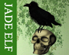 [JE] Raven & Skull