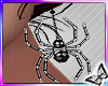 !! Black & Silver Spider
