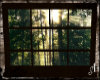 forest Window