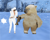 polar bear anim