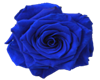 Dj Efecto Rosa Azul
