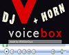Dj Voicebox *WVD*