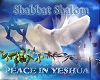 Peace In Yeshua