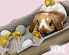 Bunny And Chicks