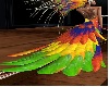 rainbow feathers tail
