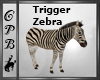 Zebra With Sound