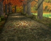 Eve - Autumn Park