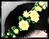 [TFD]Floral Crown Y