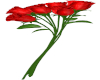 Red Roses 7 Poses M/F