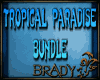 [B]Tropical Paradise Bun