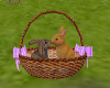 ~LS~Bunny basket