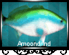 AM:: Fish Enhancer