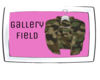 𝓥.  Gallery Field