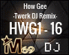 How Gee Twerk DJ Remix