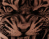 Tiger Rip L Side Tat