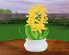 Yellow Hyacinth Plant