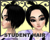 MT*STUDENT SKOII HAIR