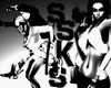 -SK- SSKS Frame