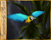 I~Macaw & Perch