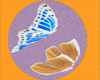 2 Mariposa Animated