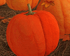𝐼𝑧.Pumpkins'