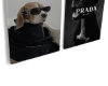 Designer pups