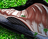 Rose Foams
