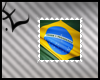 .Elz. Brazilian Flag