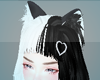 nekobibi