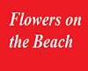 Flowers on the Beach